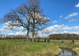 Door het weidse landschap van de Achterhoek.