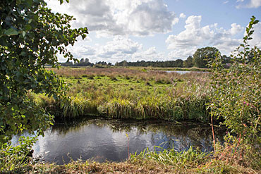 De wandelingen zullen weer voeren door bos en beemd.